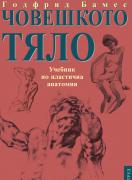 Човешкото тяло - учебник по пластична анатомия